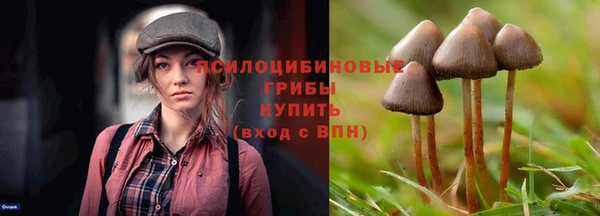 тгк Верхний Тагил