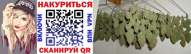 Каннабис OG Kush  Купить где  Колпашево 